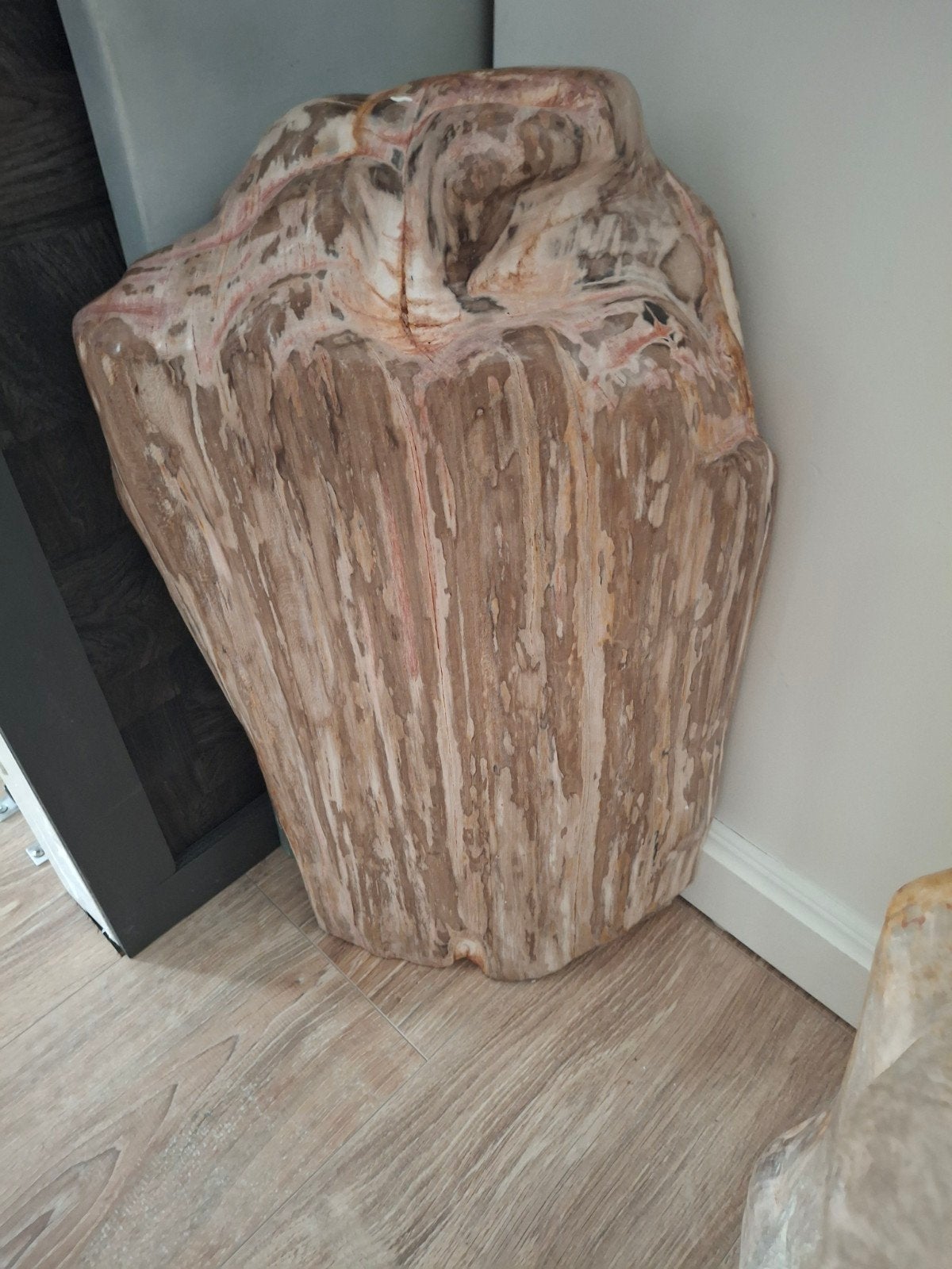 versteend hout, Ophalen