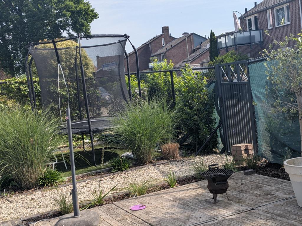 Schaduwdoek/ privacydoek omheining, Tuin en Terras, Bloeit niet, Halfschaduw, 100 tot 250 cm, Overige soorten