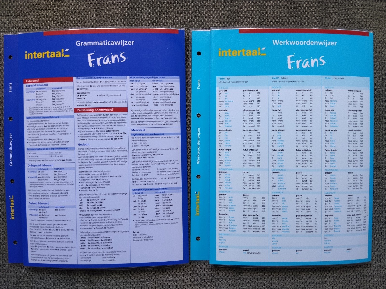 Intertaal Frans Werkwoorden- en Grammaticawijzer, Ophalen of Verzenden, Zo goed als nieuw, Intertaal, Non-fictie