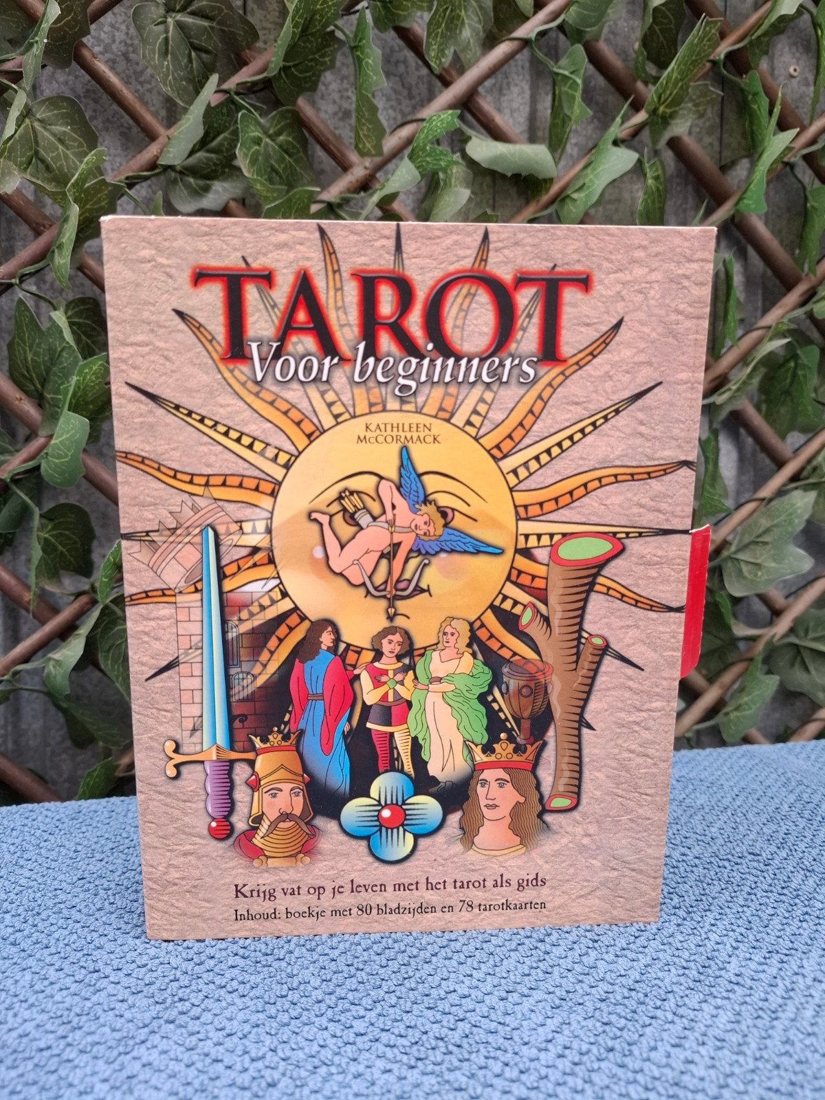Tarot voor beginners - Kathleen McCormack, Boeken, Ophalen of Verzenden