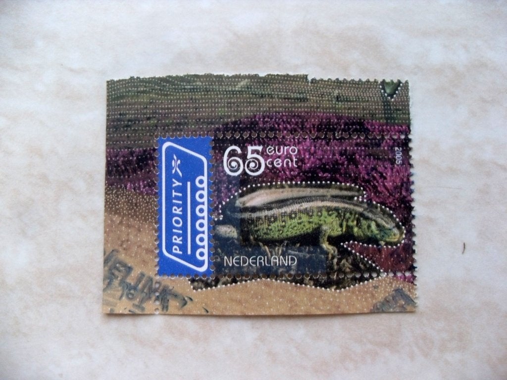 Nederland 2005., Postzegels en Munten, Postzegels | Nederland, Verzenden, Gestempeld