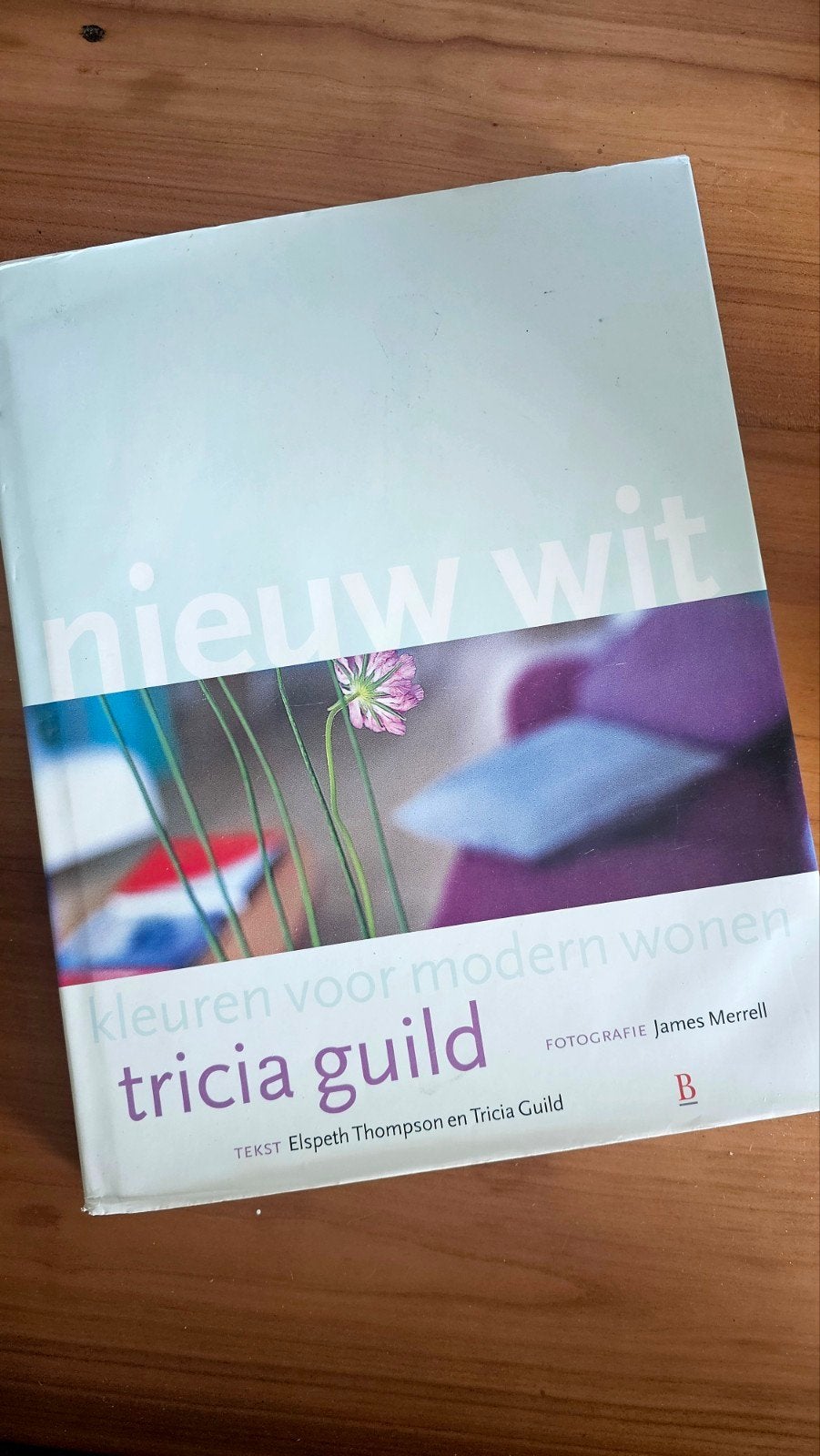 Tricia Guild 'Nieuw Wit' Interieurboek - Inspiratie, Boeken, Ophalen of Verzenden, Gelezen, Tricia Guild, Interieur en Design