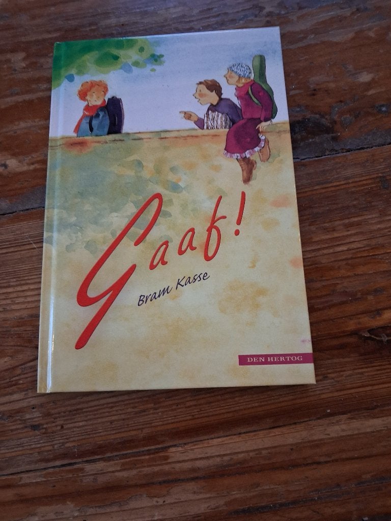 Bram Kasse - Gaaf!, Boeken, Ophalen of Verzenden, Zo goed als nieuw, Bram Kasse, Fictie algemeen