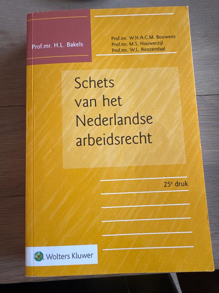 Schets van het Nederlandse arbeidsrecht, Boeken, Ophalen of Verzenden, Wolters Kluwer, Alpha, WO
