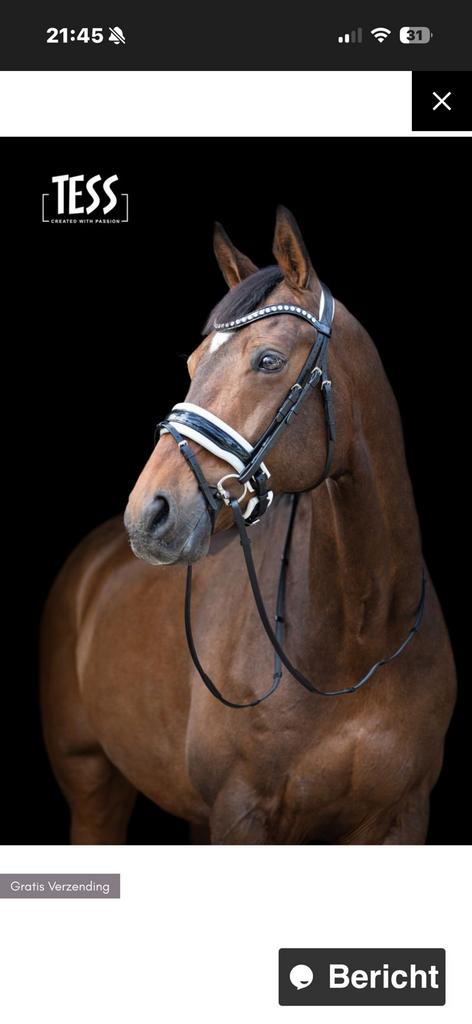 Tess hoofdstel wide lak wit onderlegd, Dieren en Toebehoren, Paarden en Pony's | Hoofdstellen en Tuigage, Zo goed als nieuw, Ophalen of Verzenden