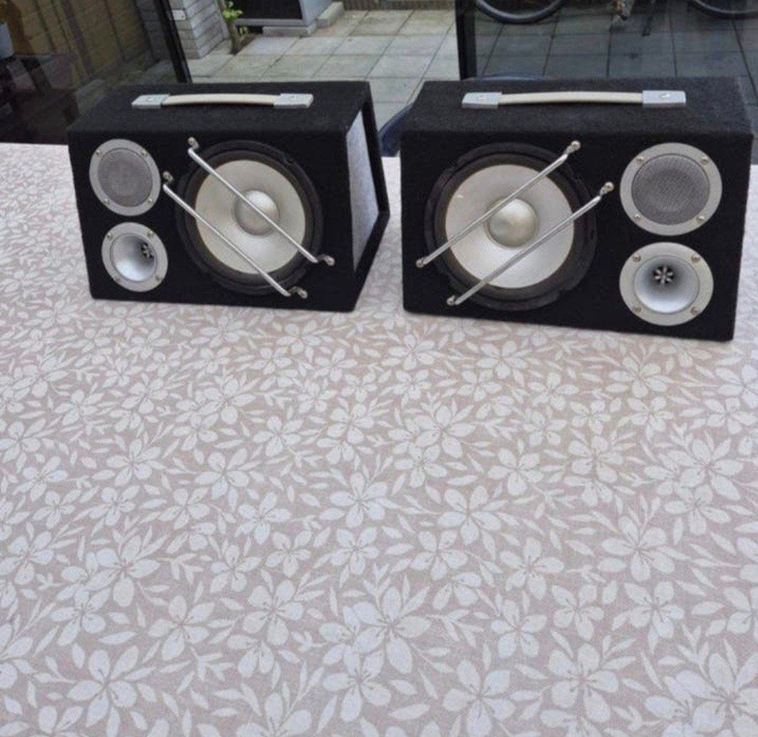 Twee Subwoofer Voor Auto, Auto diversen, Ophalen of Verzenden