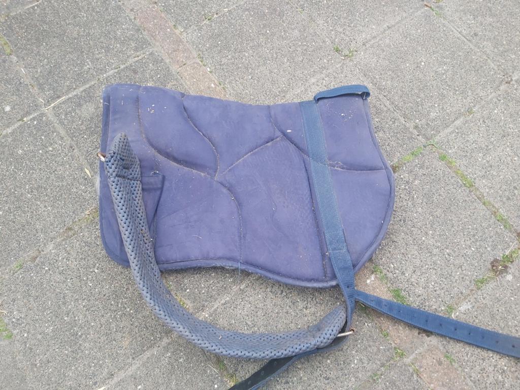 Barebackpad met singel, Ophalen of Verzenden, Gebruikt, Dressuur