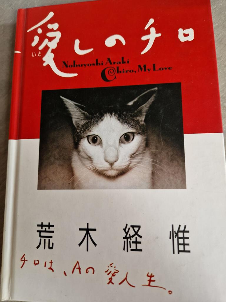 Chiro, my love door Nobuyoshi Araki, Boeken, Dieren en Huisdieren, Zo goed als nieuw, Katten, Ophalen of Verzenden