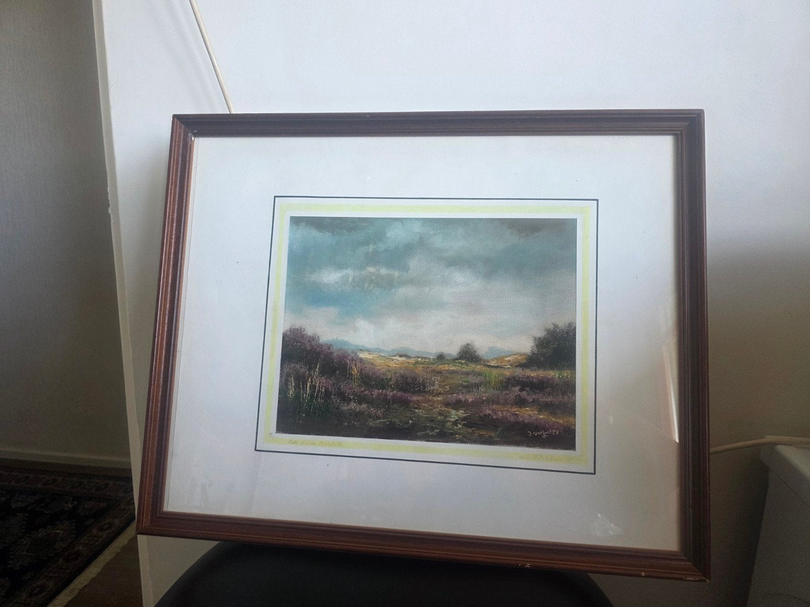 Mooi landschap /kale duinen Appelscha, Ophalen of Verzenden