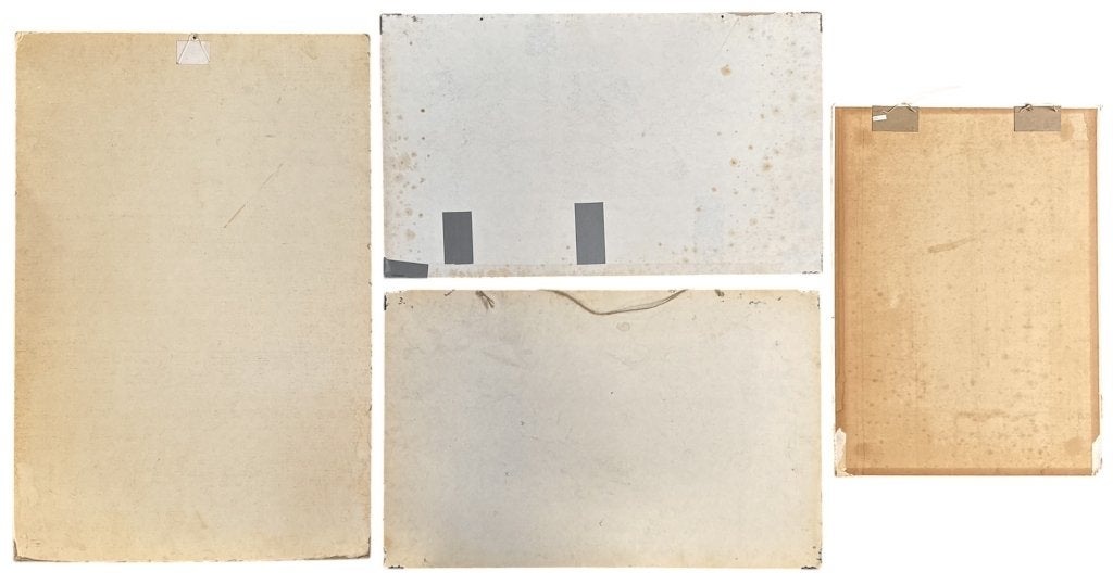 1322. Schoolplaten, ca. 1970, Ophalen, Natuur en Biologie
