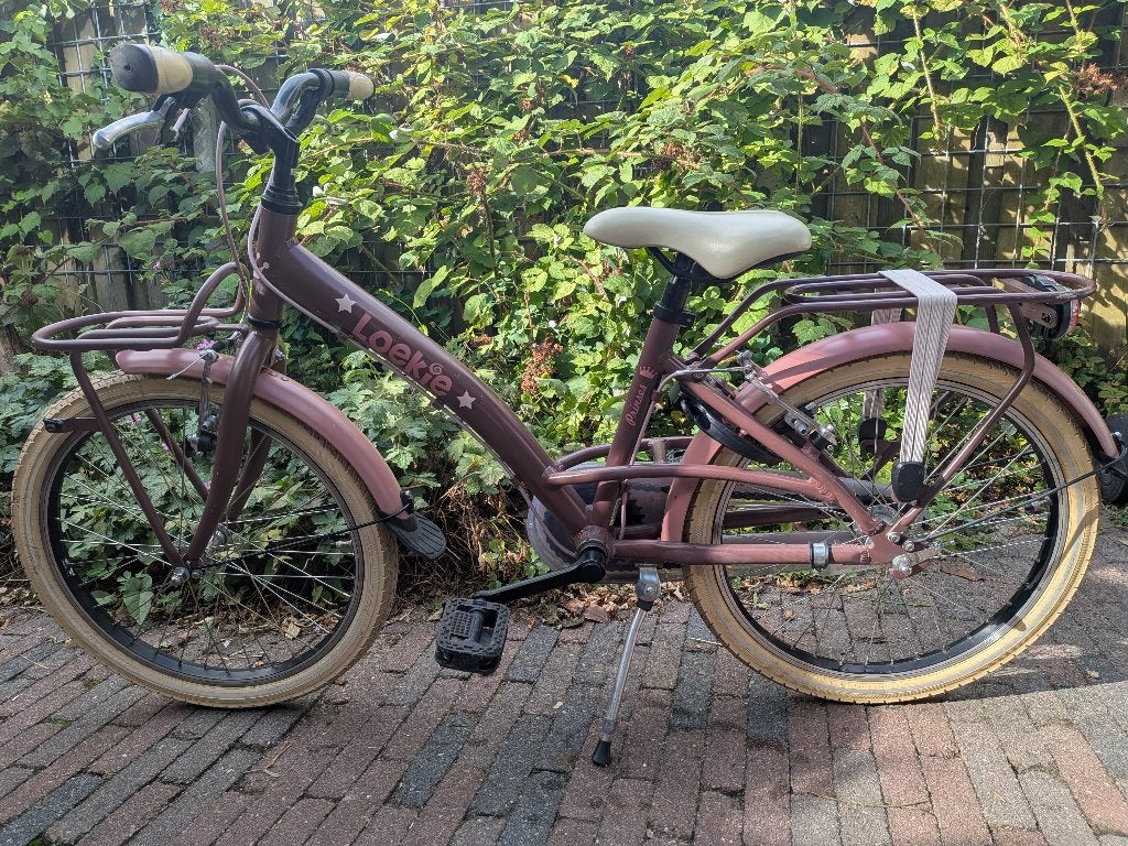 Loekie Princess 20 inch kinderfiets, Ophalen, Gebruikt, Loekie, Terugtraprem