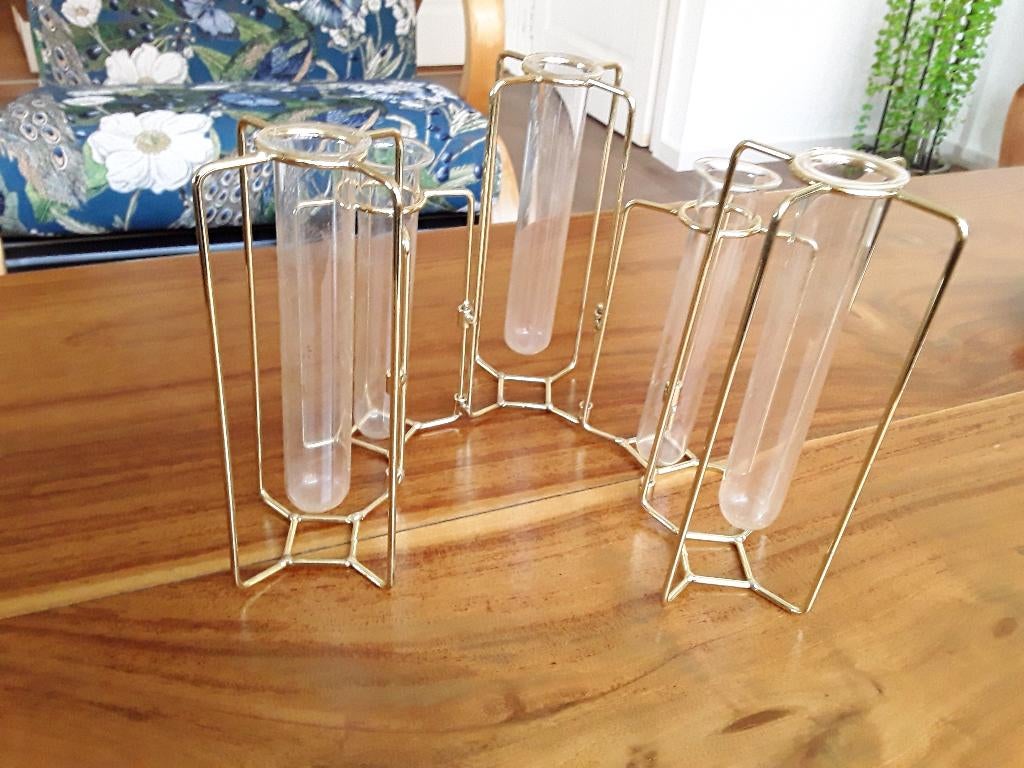 vaas met reageerbuisjes. reageerbuisjes in frame, Ophalen, Overige kleuren, Minder dan 50 cm, Glas
