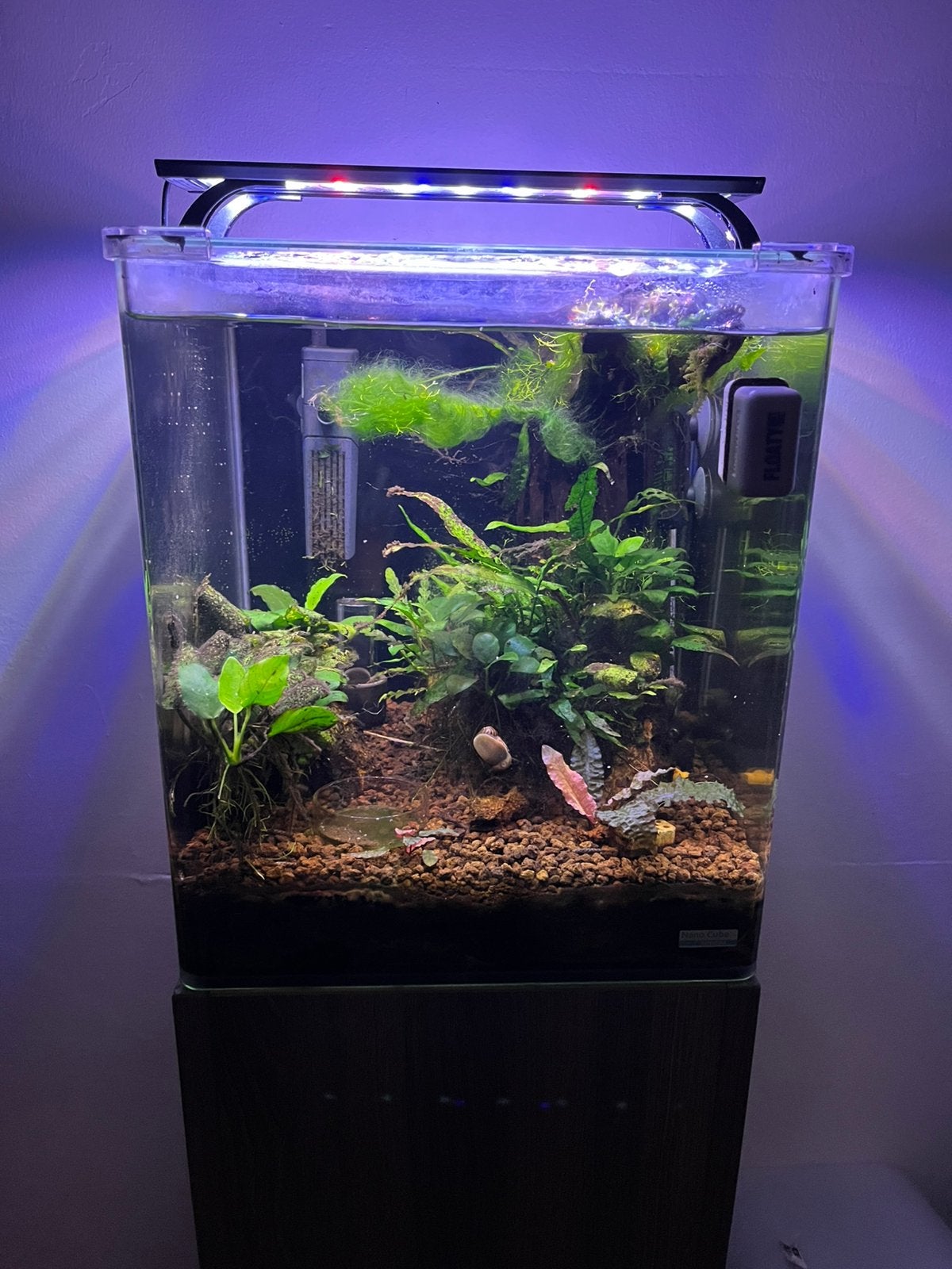 Nano aqarium, met zuil, Dieren en Toebehoren, Vissen | Aquaria en Toebehoren, Zo goed als nieuw, Leeg aquarium, Ophalen