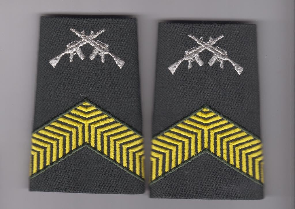set rangen kpl olk dt2000 geel met zilver diemaco, Verzamelen, Militaria | Algemeen, Ophalen of Verzenden, Landmacht, Nederland
