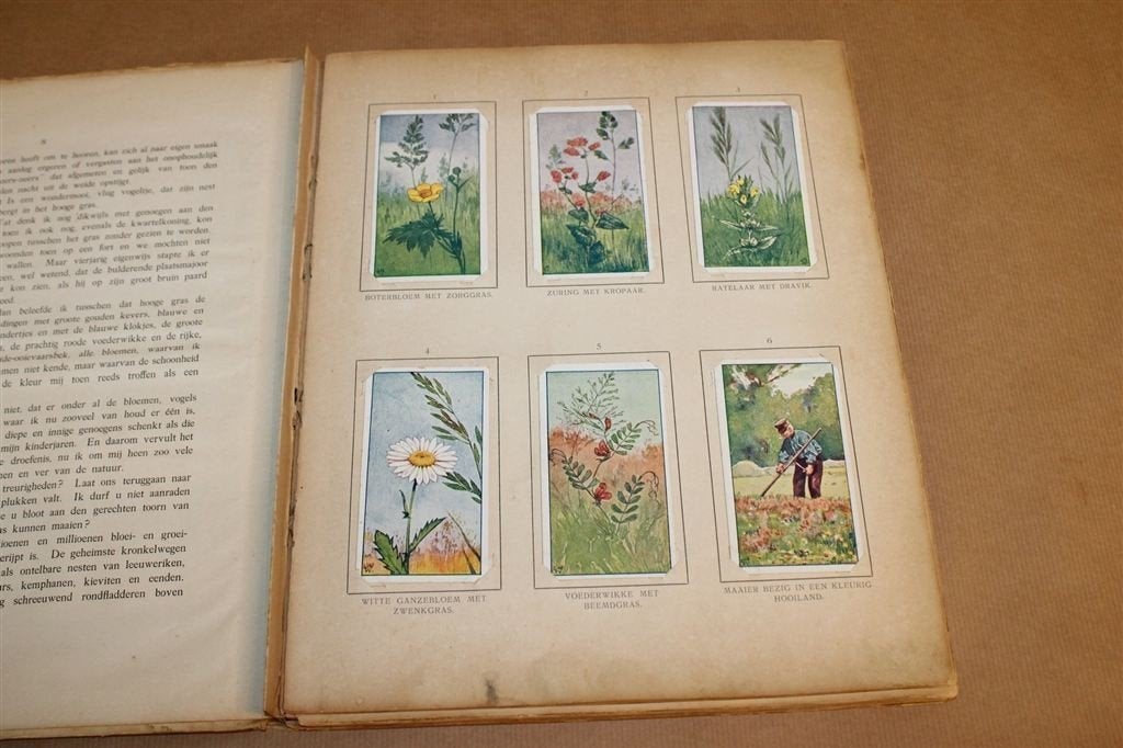 Zomer — Verkade Album Thijsse Compleet, Antiek 1907, Ophalen of Verzenden, Gelezen