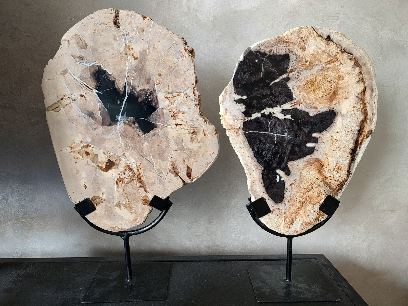 Versteend Hout op Standaard, Ophalen of Verzenden, Mineraal