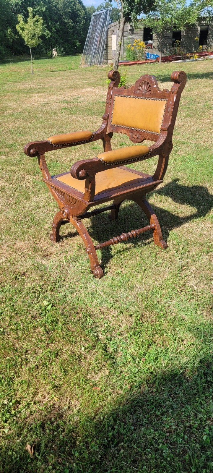 Dagobert duck stoel, Antiek en Kunst, Antiek | Meubels | Stoelen en Banken, Ophalen