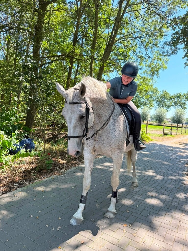 Verzorgpaard gezocht, Dieren en Toebehoren, Ophalen of Verzenden, Zo goed als nieuw, Recreatie