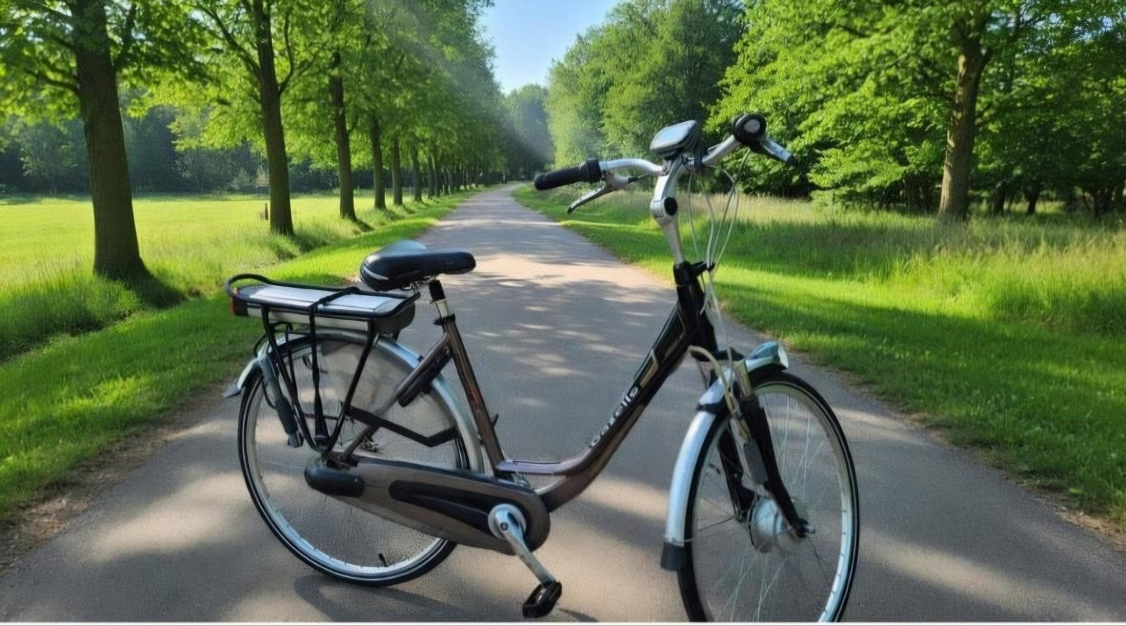 hele nette Gazelle electrische fiets, 51 tot 55 cm, Ophalen of Verzenden, Zo goed als nieuw, Gazelle