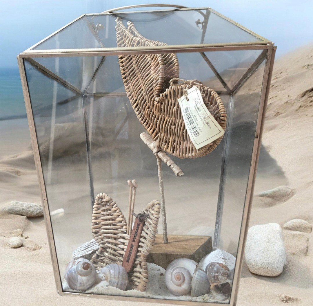 Rivièra maison vlinders in Rivièra maison display lantern, Ophalen, Nieuw
