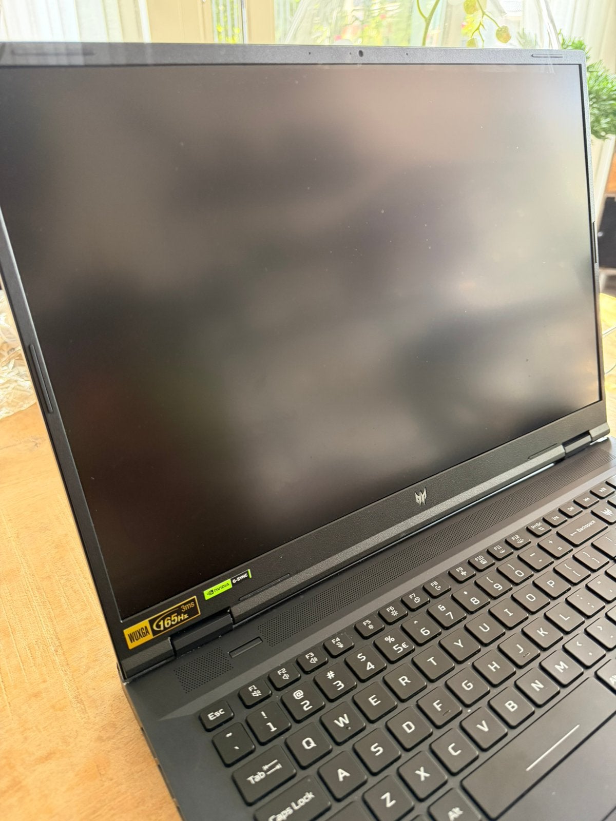 Acer Predator Helios Neo 18
