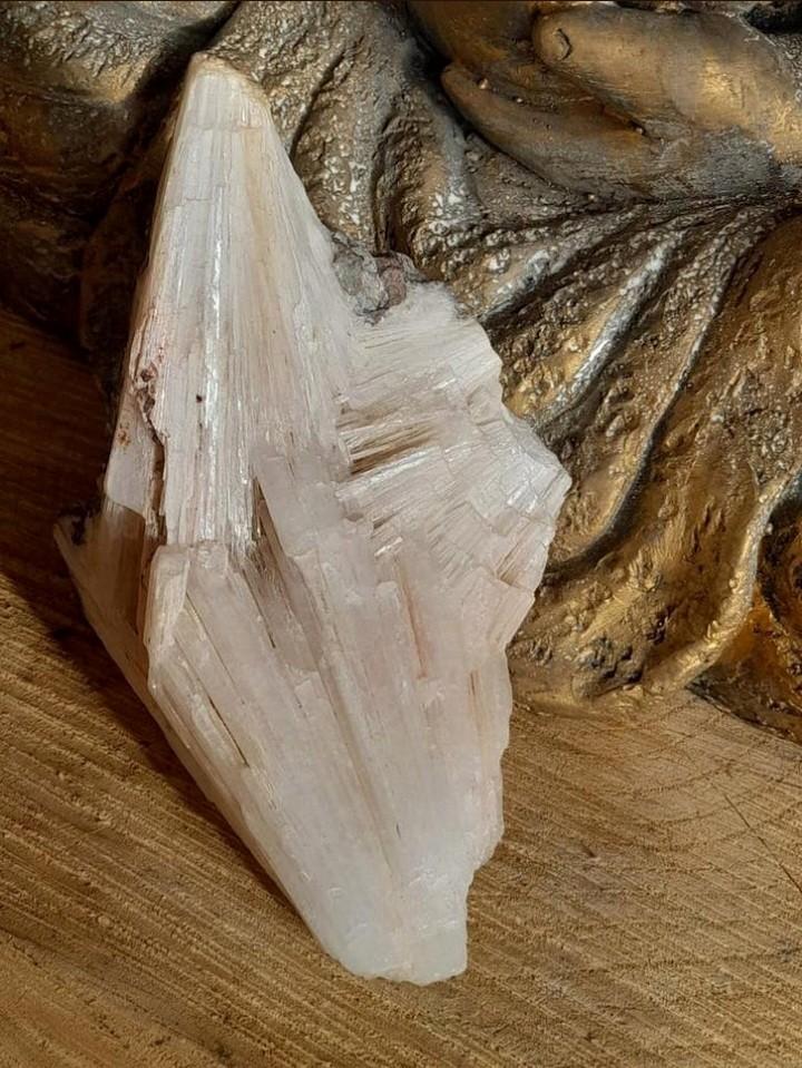 Scolesiet van 343 gram., Ophalen of Verzenden