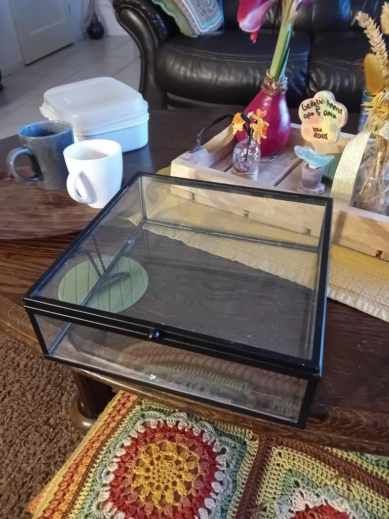 Glazen opberg box, Huis en Inrichting, Ophalen, Minder dan 50 cm, Rond, Nieuw