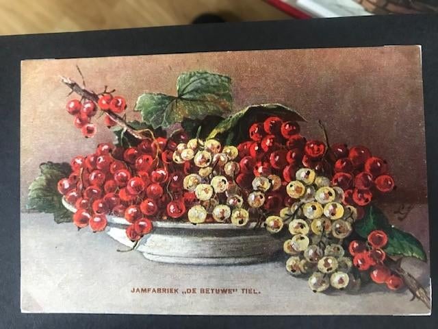 Gezocht: Fruitkaart Mij. de Betuwe 4 stuks ( zie foto's), Verzenden, Gebruikt, Overige typen