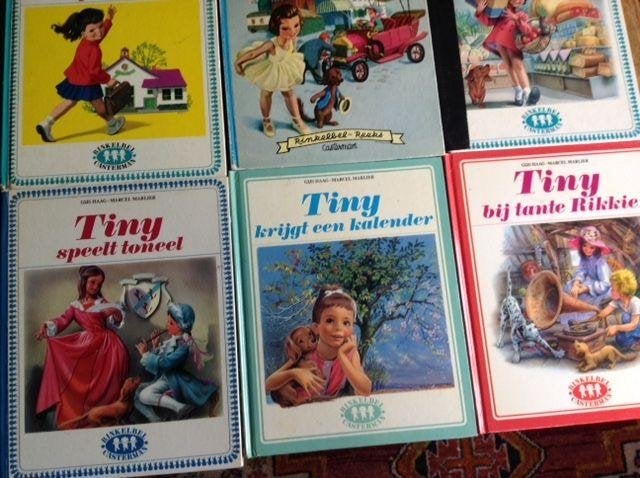 Gijs haag – tiny, Ophalen of Verzenden, Gelezen, Fictie algemeen