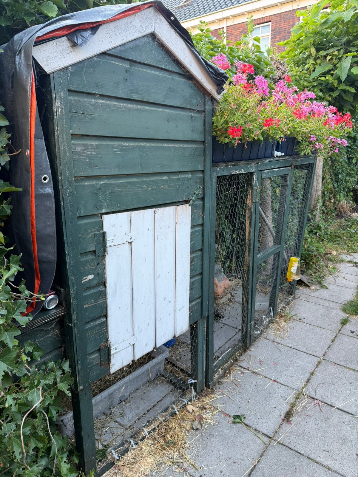 Gratis konijnenhok, Ophalen, Zo goed als nieuw, Kippenhok of Kippenren