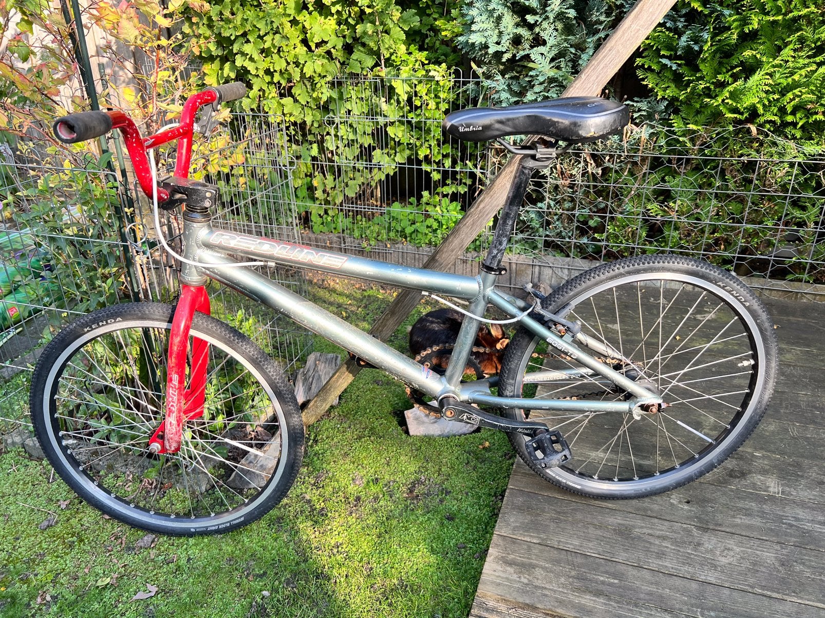 Licht gewicht BMX, Ophalen, Zo goed als nieuw, Aluminium