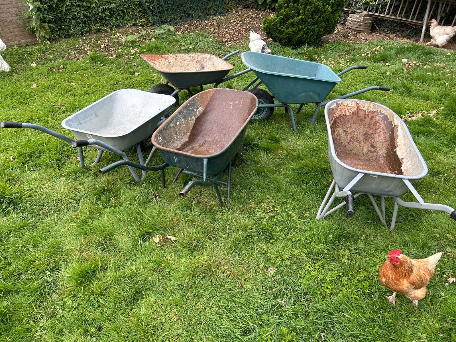 Diverse kruiwagens te koop - Gebruikt maar functioneel, Tuin en Terras, Kruiwagens, Ophalen of Verzenden, Gebruikt, Handmatig