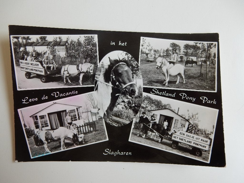ansichtkaart Shetland Pony Park Slagharen., Verzamelen, Ophalen of Verzenden, 1940 tot 1960, Gelopen, Overijssel