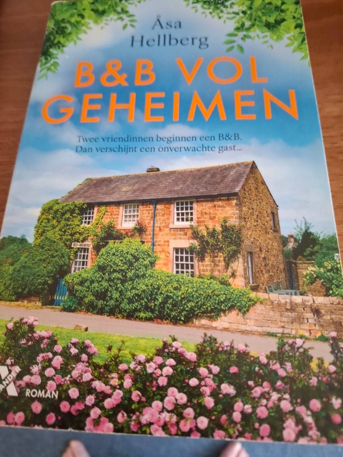B&B Vol Geheimen - Åsa Hellberg (Roman), Boeken, Ophalen of Verzenden, Gelezen, Åsa Hellberg, Nederland