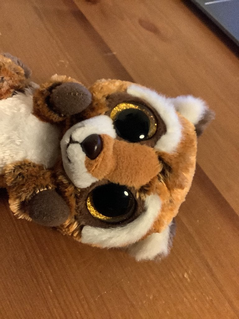 Ty Beanie Boo knuffel Rusty The Raccoon 2015, 15 cm, Overige typen, Ophalen of Verzenden, Ty, Met label
