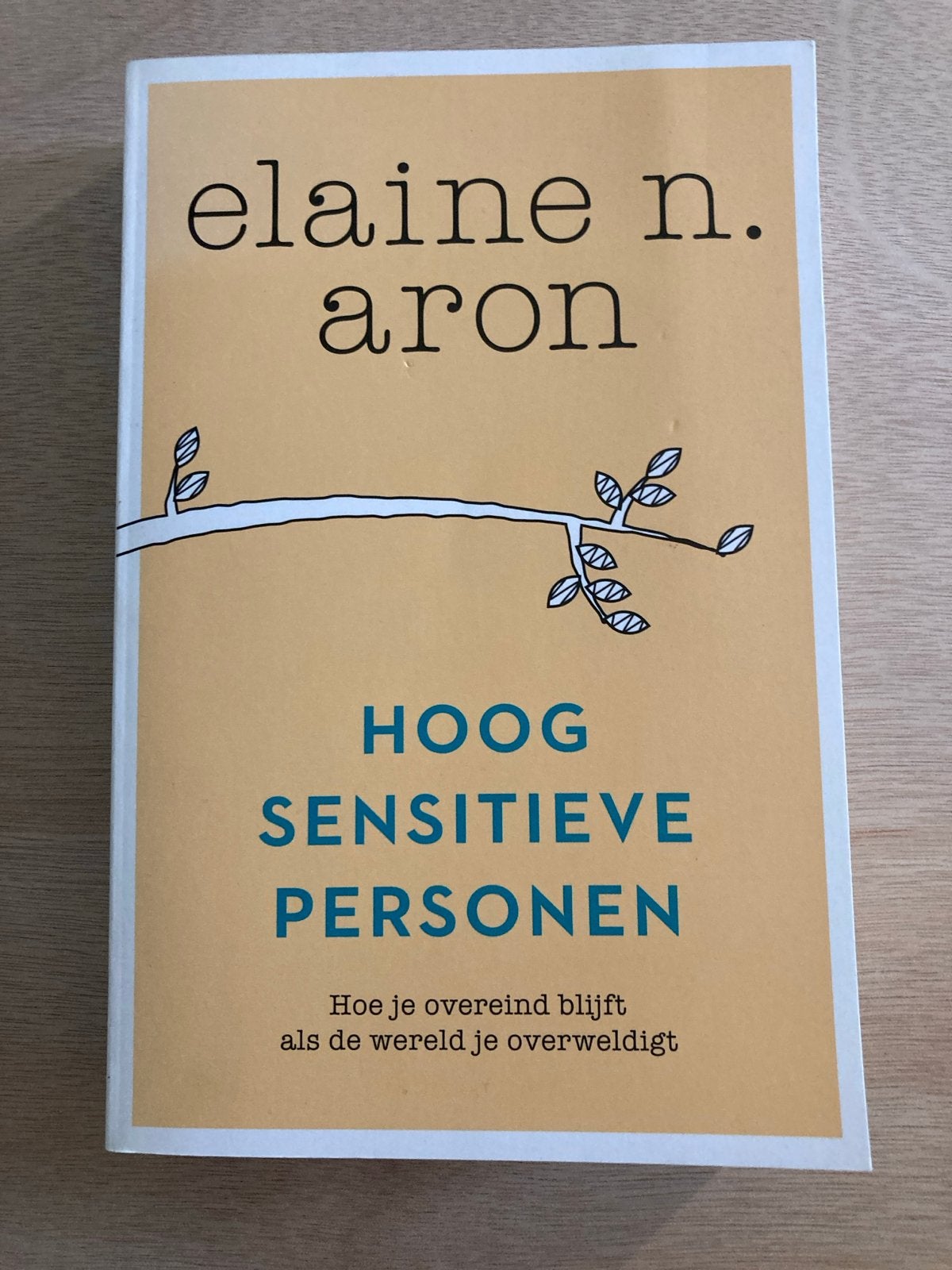 Boek: Hoog Sensitieve Personen - Elaine N. Aron, Ophalen of Verzenden, Nieuw, Persoonlijkheidsleer