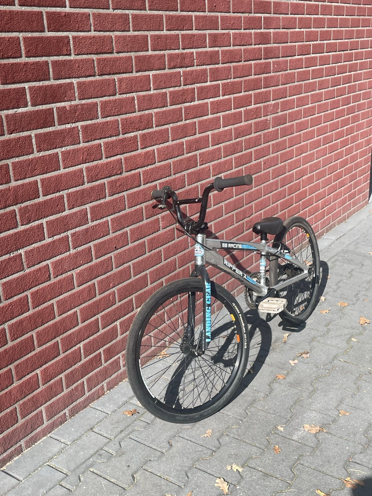 SE Racing Ripper X Expert 20 inch BMX - Lichtgewicht, Ophalen, Gebruikt, 16 tot 20 inch