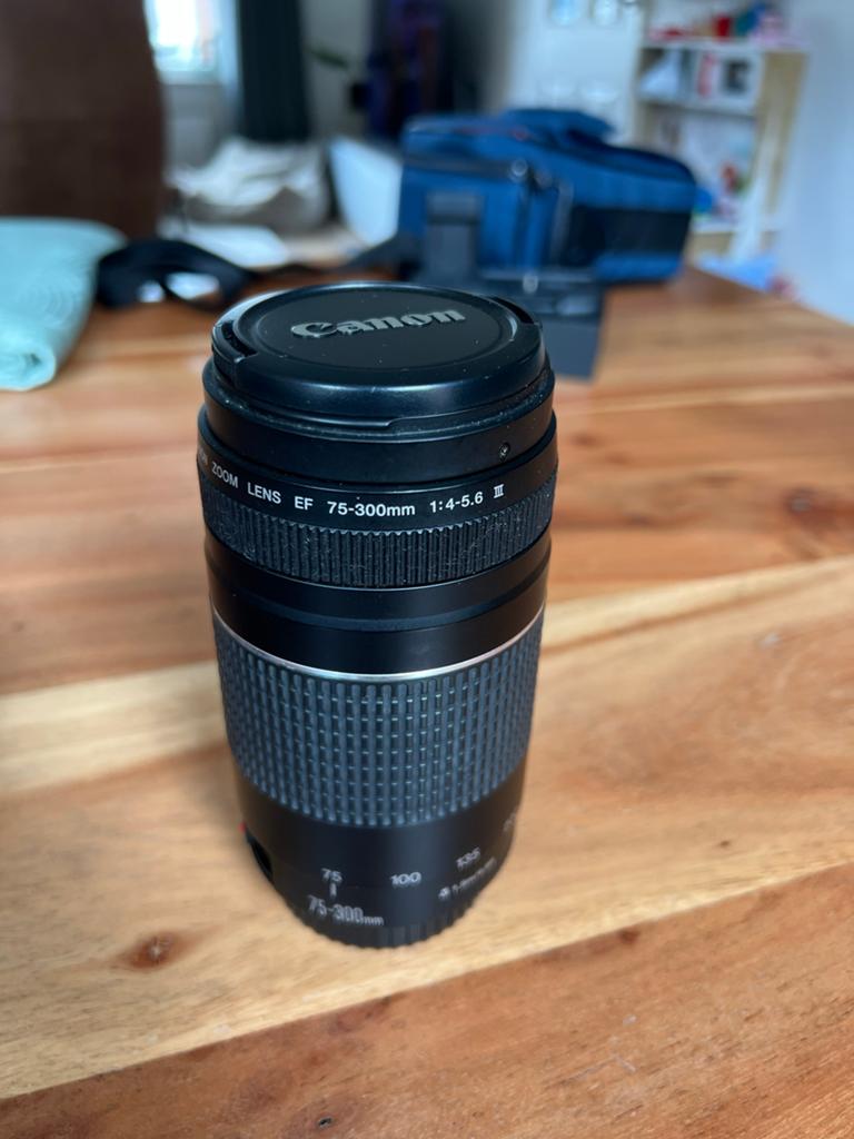 Canon Zoom Lens EF 75-300mm 1:4-5.6 III, Audio, Tv en Foto, Fotografie | Lenzen en Objectieven, Gebruikt, Telelens, Zoom, Ophalen of Verzenden