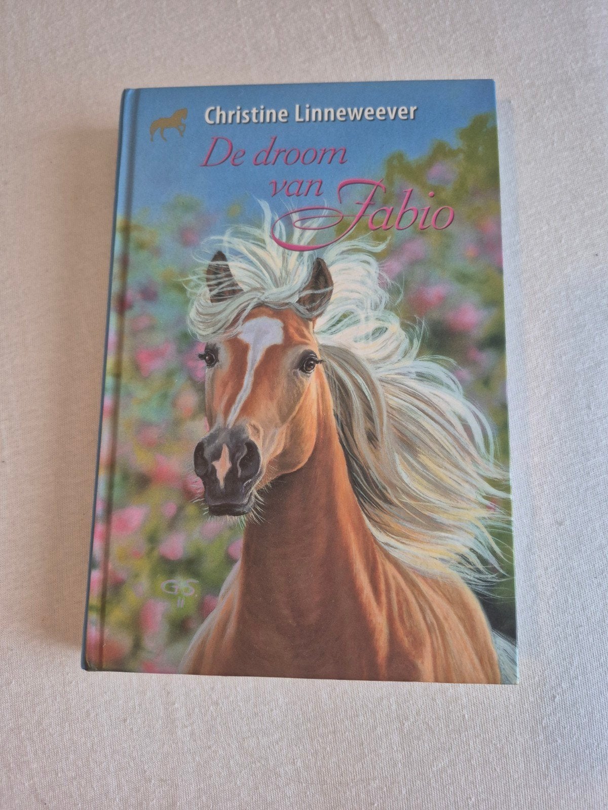 De droom van Fabio - Christine Linneweever (Paardenboek), Boeken, Ophalen, Fictie algemeen, Zo goed als nieuw, Christine Linneweever