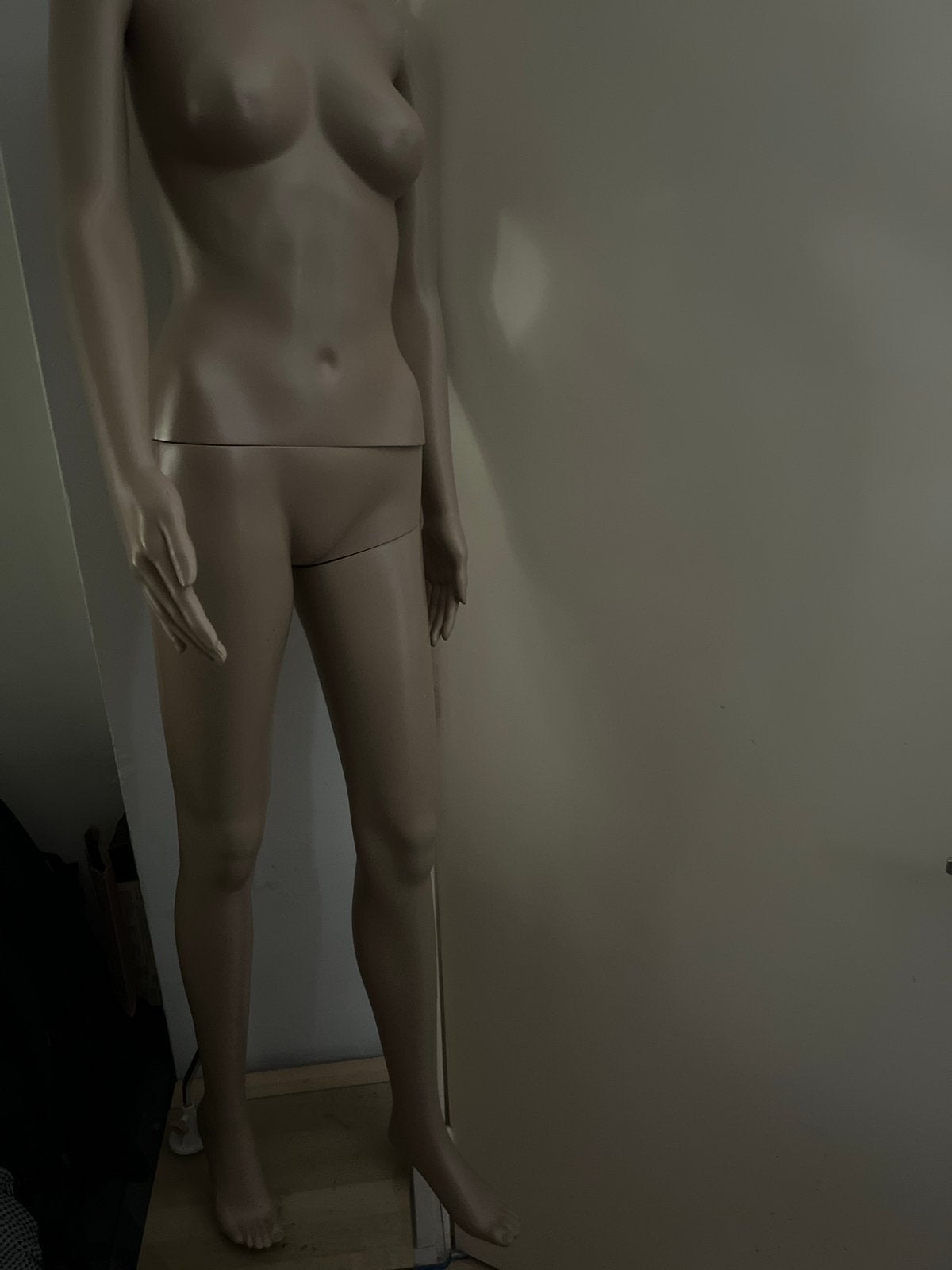 Paspop te koop - Vrouwelijke etalagepop, Ophalen