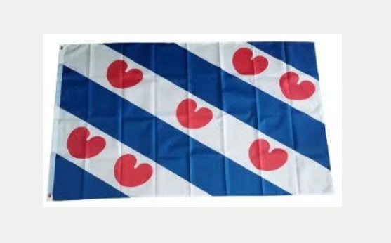 Grote vlag Friesland (150x90cm), Ophalen of Verzenden, Nieuw