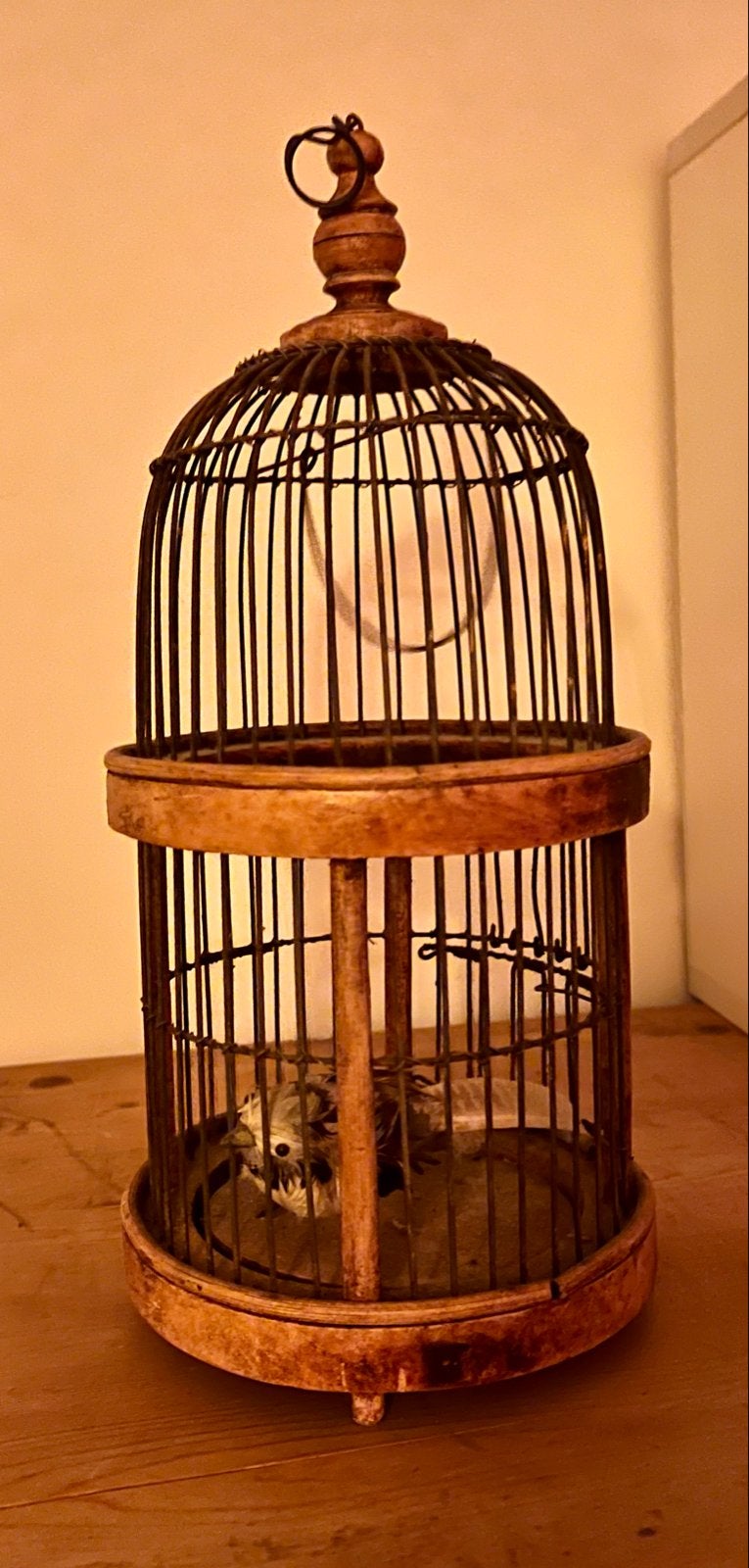Antieke vogelkooi met vogeltje - Decoratief, Ophalen