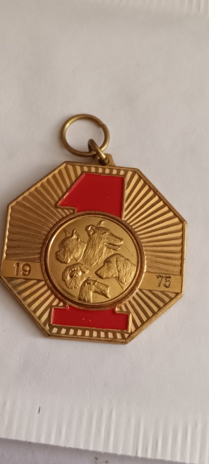 Vintage Medaille Puzzelwandeltocht 1975 met Hondenafbeelding, Postzegels en Munten, Ophalen of Verzenden, Overige materialen, Nederland