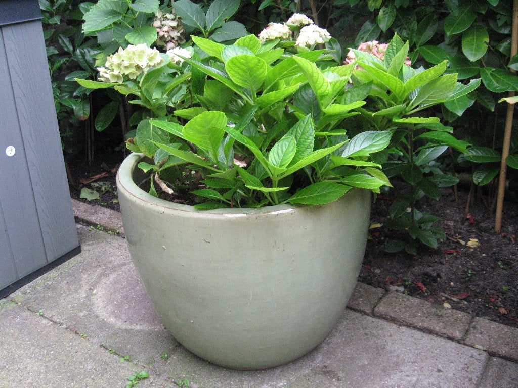5 grote, groene, ronde bloempotten (D 50 cm, H 40 cm), Tuin en Terras, Ophalen, Gebruikt, 40 cm of meer, Rond