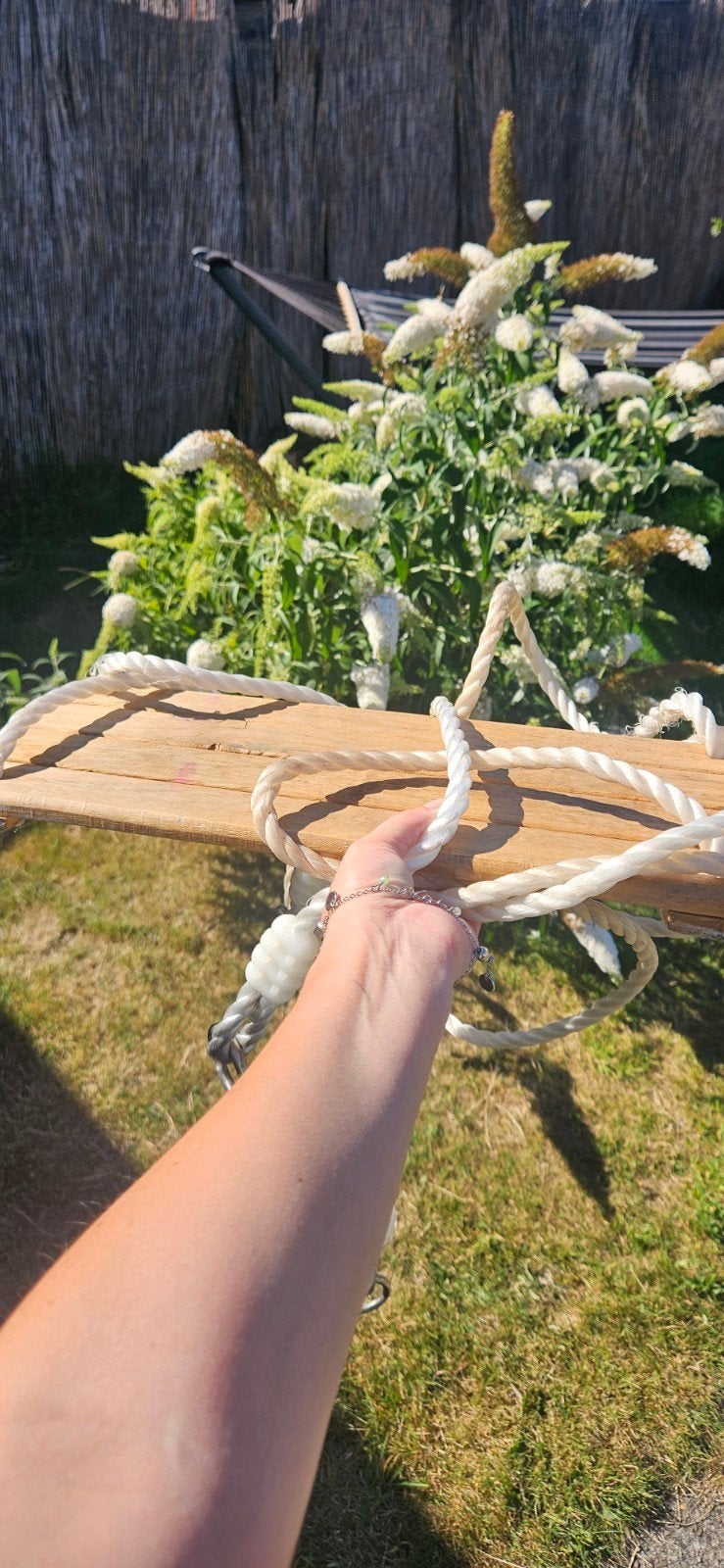 schommel, Tuin en Terras, Planten | Bomen, Ophalen, Volle zon, Overige soorten