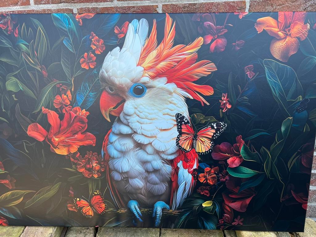 Canvas vogel / kleur €10,/ afhaal, Ophalen