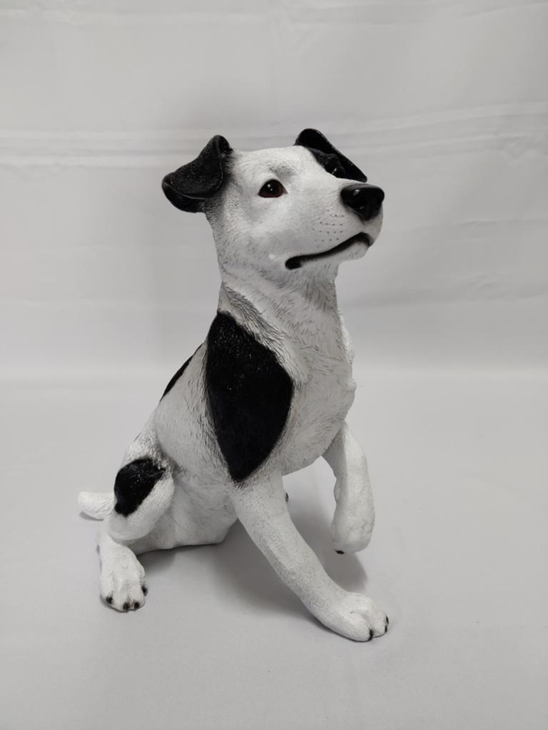 Jack Russel Terriër, wit met zwart gekleurd., Ophalen of Verzenden, Nieuw, Dier