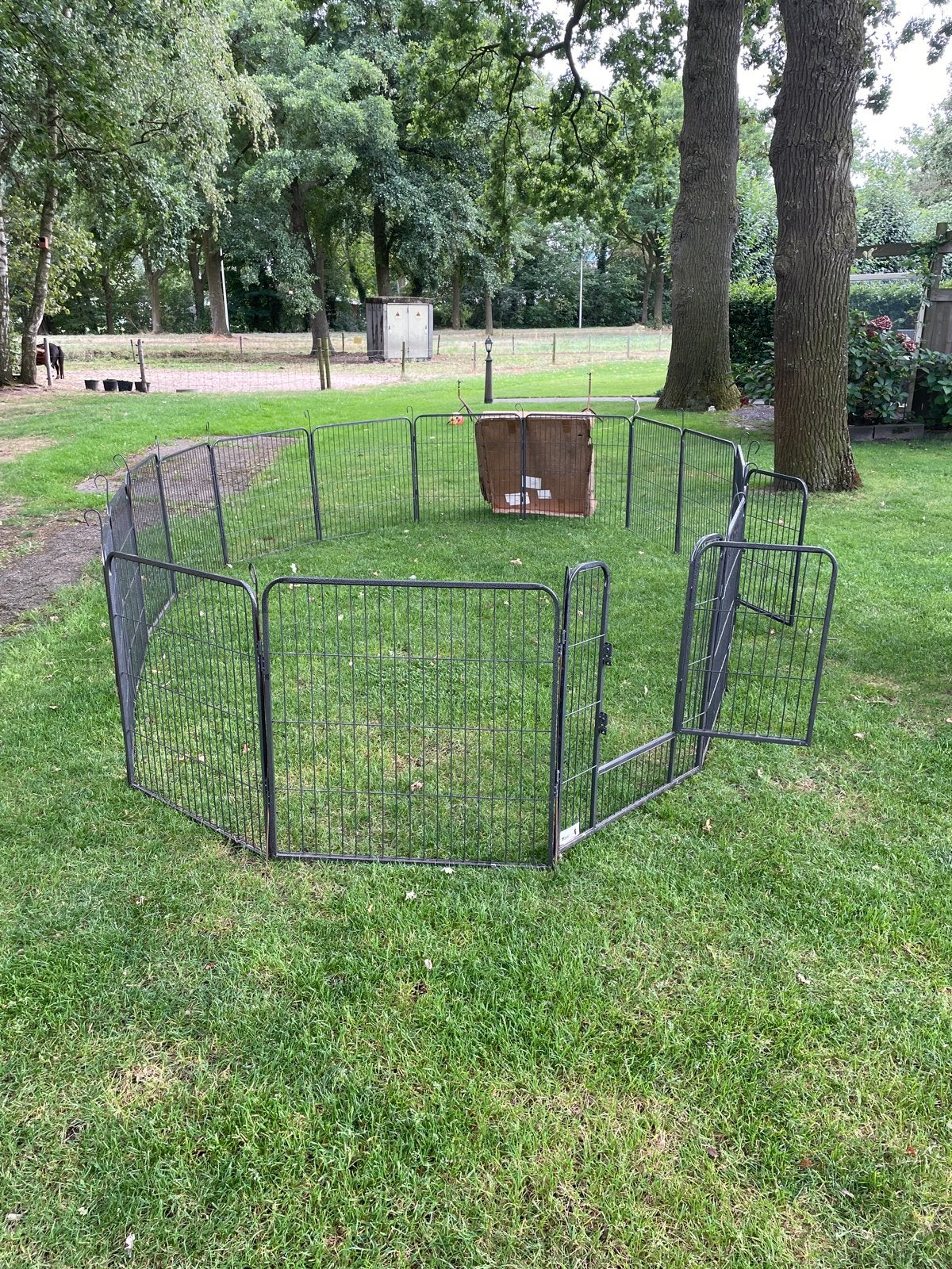 Puppyren van Maxxpet, 16 panelen, Ophalen, Zo goed als nieuw, Hondenren