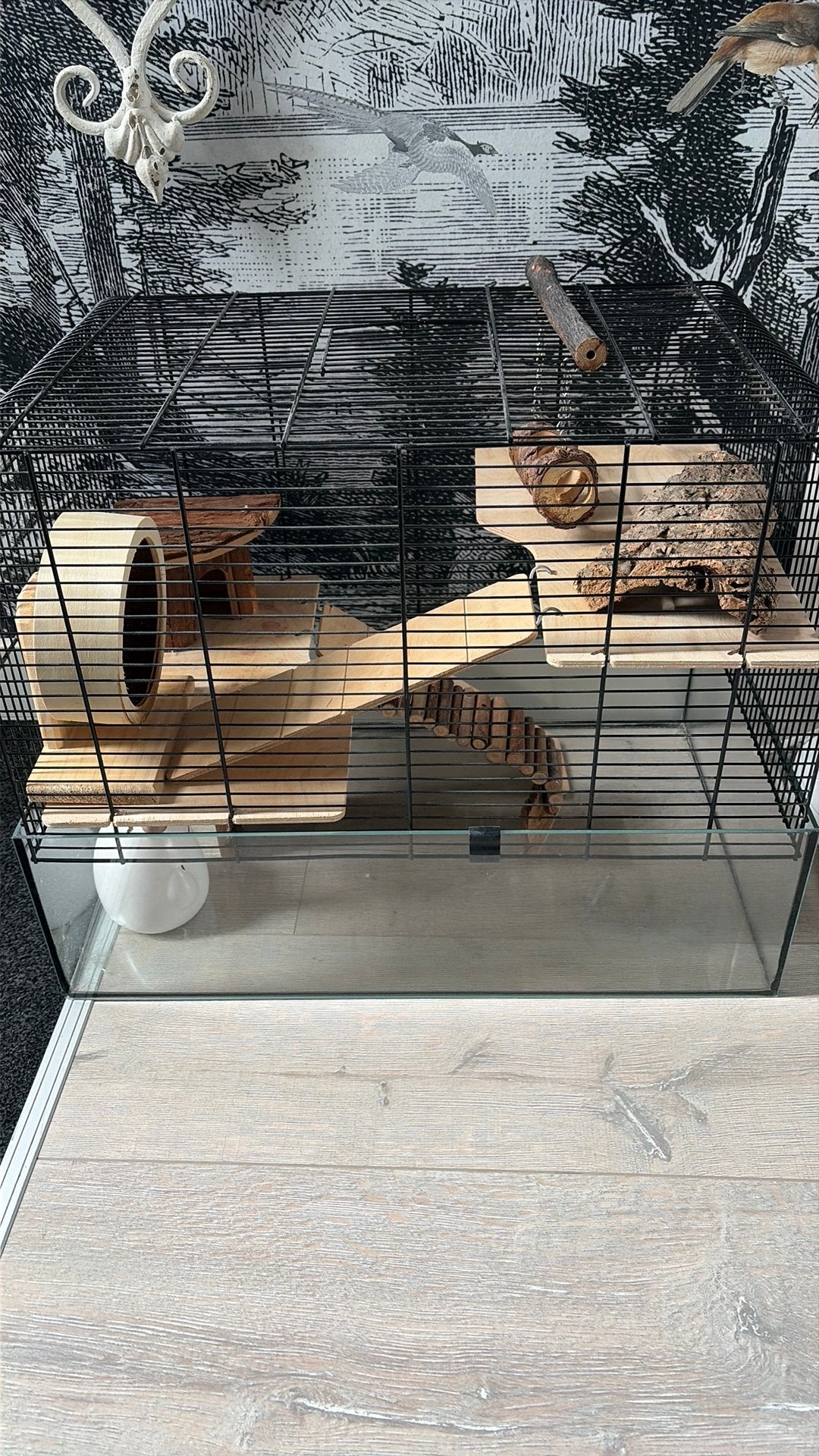 Knaagdieren kooi, Dieren en Toebehoren, Knaagdieren en Konijnen | Hokken en Kooien, Zo goed als nieuw, Kooi, Minder dan 60 cm
