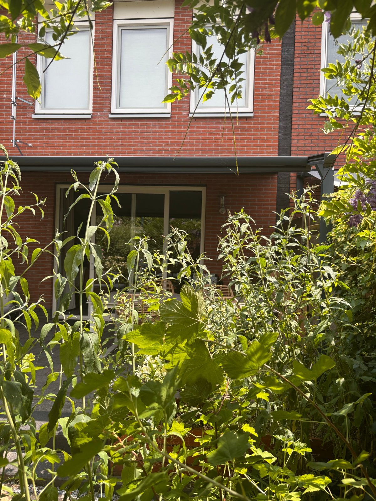 Brustor Pergola zonwering B128 - Elektrisch, Antraciet, Ophalen, Gebruikt, Overige typen, 450 cm of meer